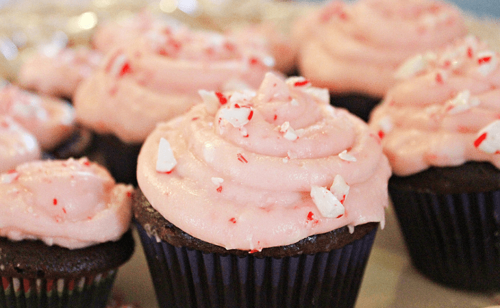 Chocolate Mocha Cupcakes with Peppermint Buttercream