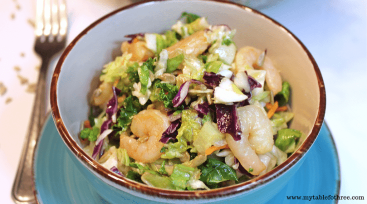 An Asian inspired salad with shrimp and a tasty sugar free Sesame Ginger Dressing