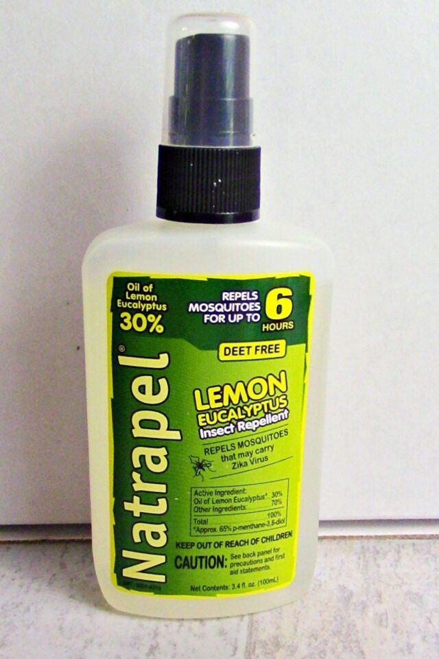 A Bottle of Natrapel Insect Repellant 
