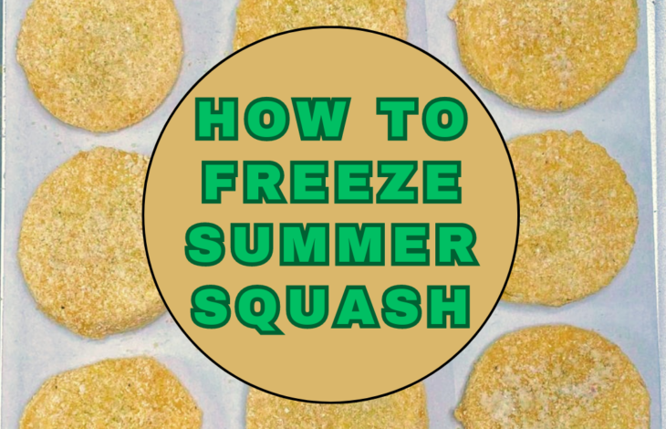 A title image with breaded squash layered behind the title "how to freezer summer squash".